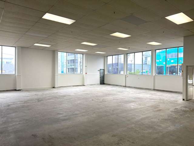 14 Virginia Avenue Eden Terrace_2