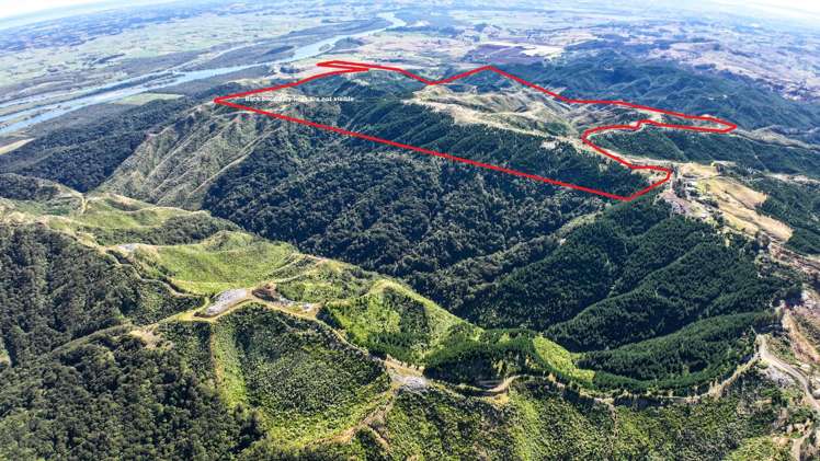 1036 Klondyke Road Port Waikato_6