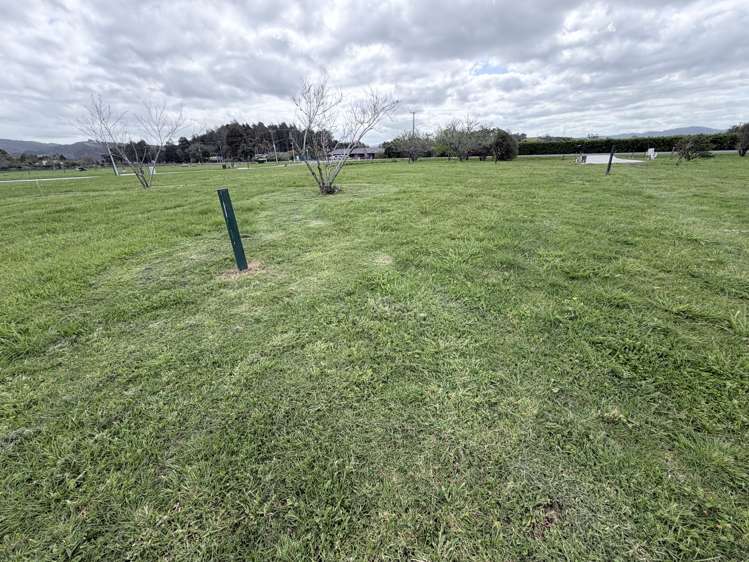 41 The Braigh Waipu_3