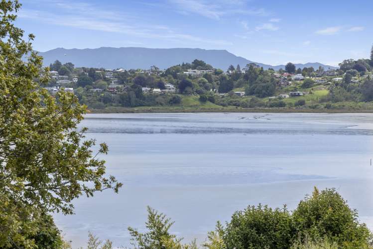 4 Selwyn Street Tauranga Central_20