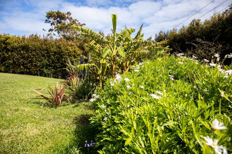 291 Hokianga Harbour Drive Omapere_48