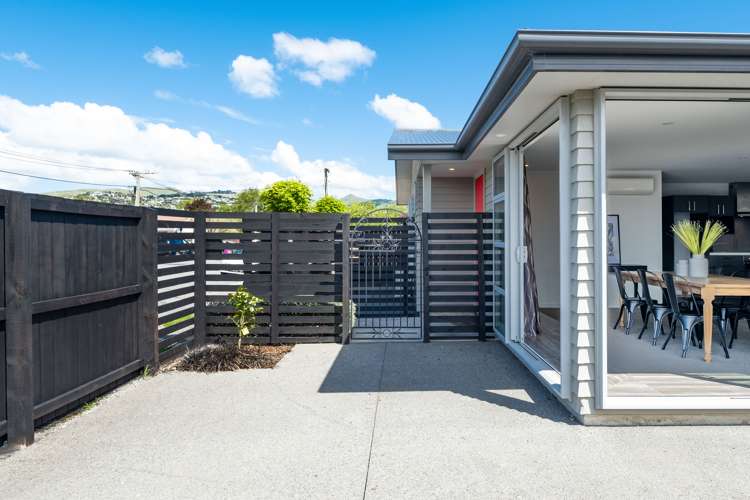 31 Seddon Street Sydenham_23