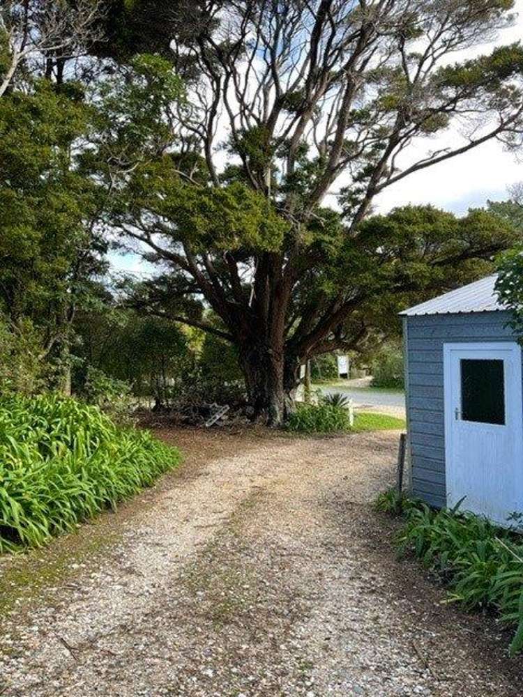 23 Totara Avenue Collingwood_14