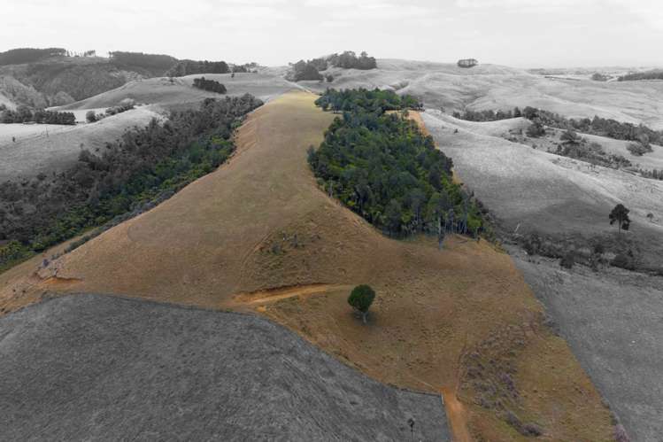 1149 Waikaretu Valley Road Waikaretu_15