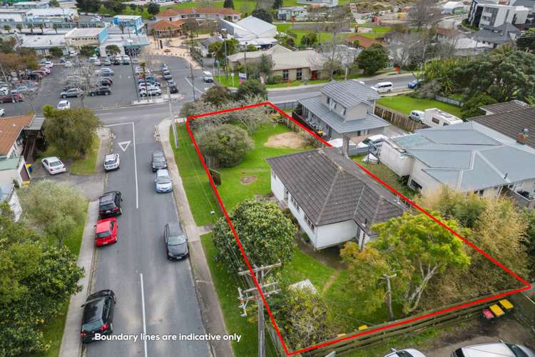 31 College Road Northcote_14