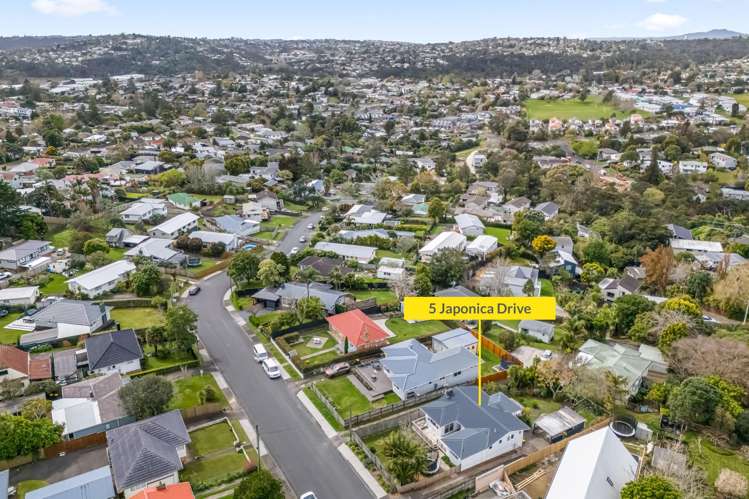 5 Japonica Drive Beach Haven_15