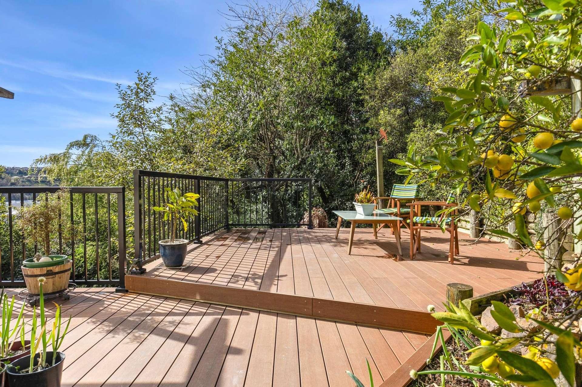 35 Konini Street Nelson South_0