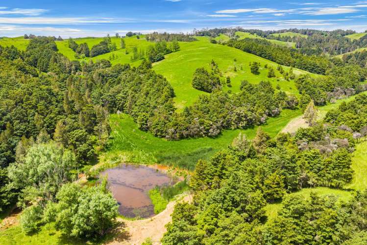 Norvil Road Titoki_12