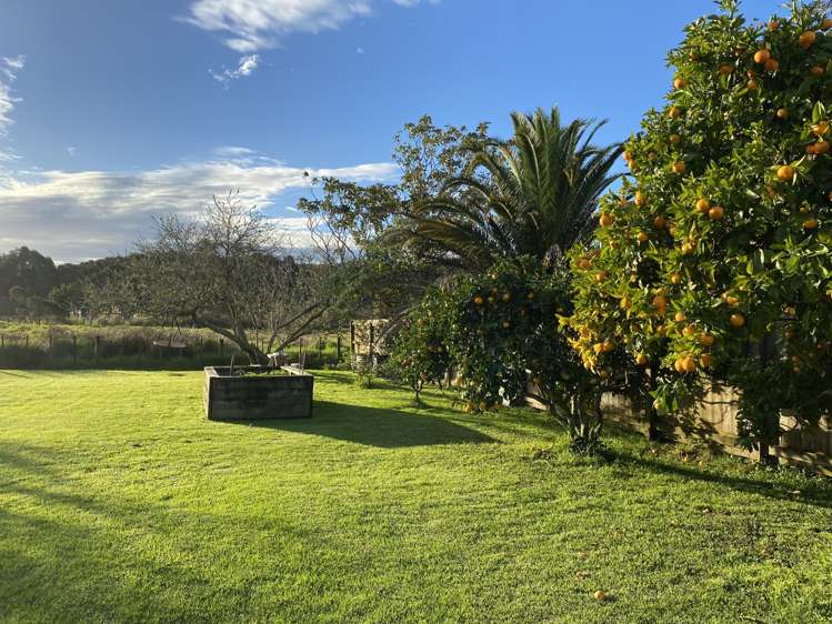 40 Shoebridge Crescent Ngunguru_6