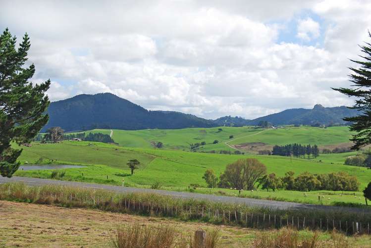 Kaiwaka-Mangawhai Road Kaiwaka_6