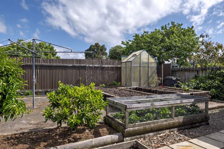 46 Richard Street Opotiki and Surrounds_28