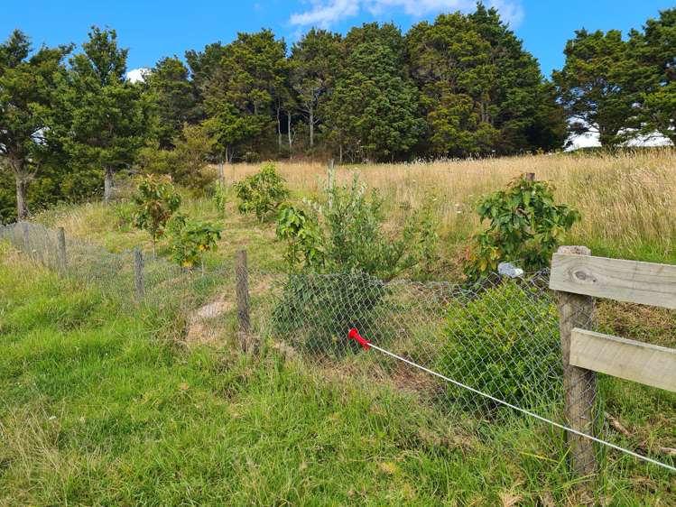 304 Arapaoa Road Tinopai_13