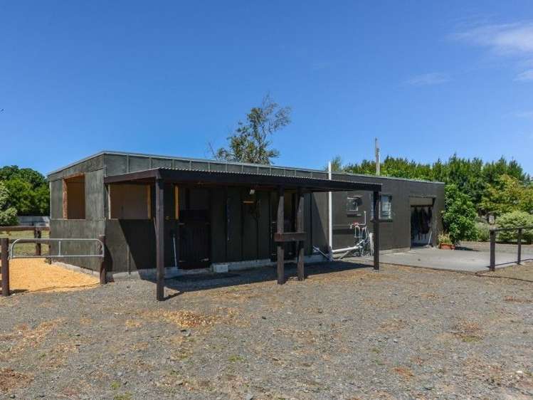 17 The Loop Meeanee_13