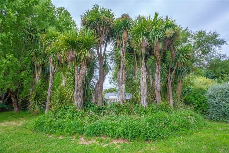 100 Okuti Valley Road Little River_18