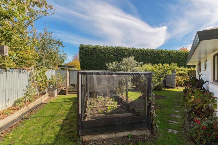 181 Middle Renwick Road Springlands_18