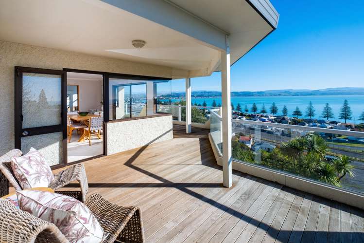 42 Roslyn Road Bluff Hill_0