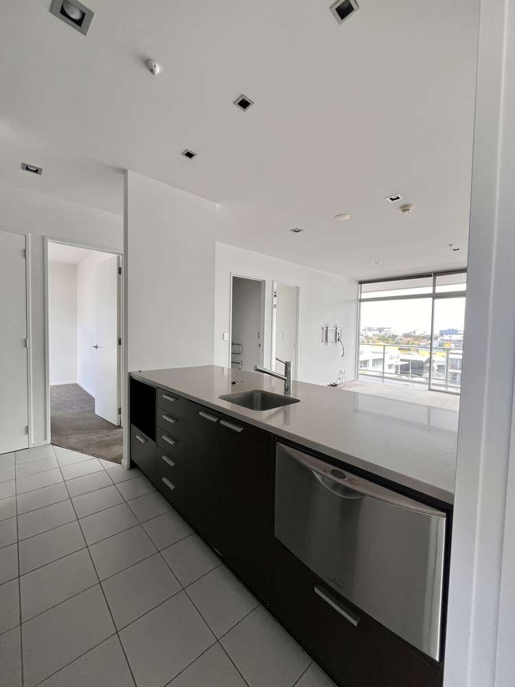 2f/29 Karaka Street Eden Terrace_6
