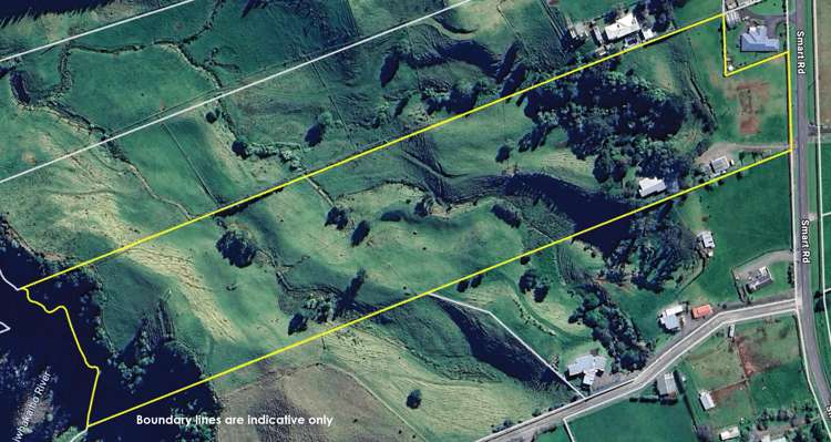 282 Smart Road Hillsborough_33