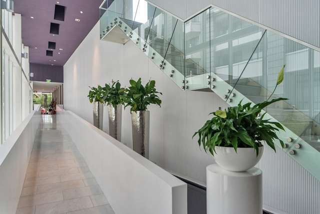 725/10 Waterloo Quadrant Auckland Central_2