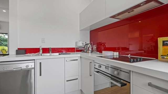 87A College Hill Ponsonby_3