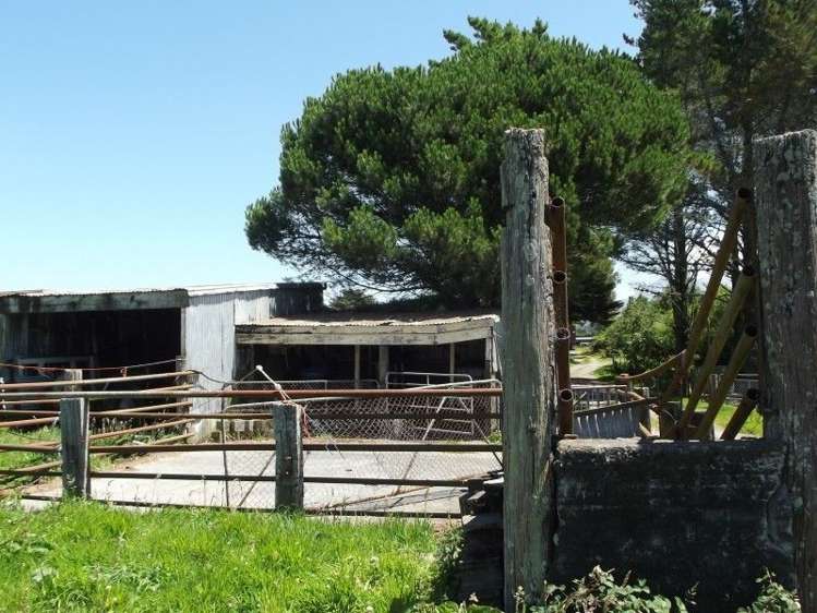 3082 Mountain Road Midhirst_34