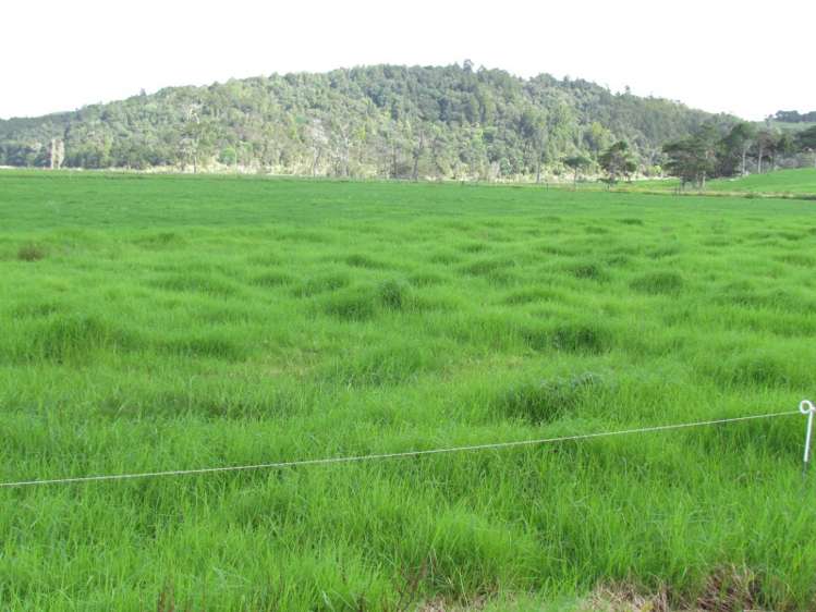 162 Roberts West Road Arapohue_13