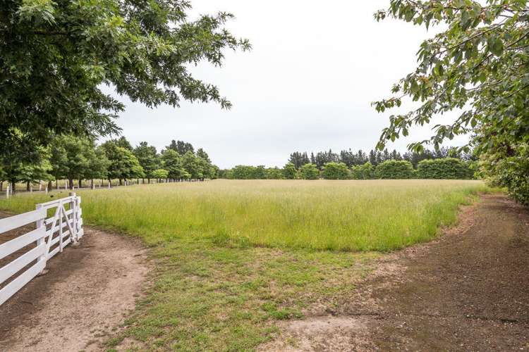 60 Painters Road Kirwee_13