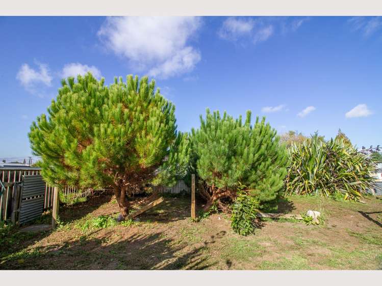 36 Seddon Street Raetihi_21