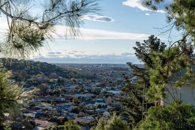 68 Rapaki Road Hillsborough_3