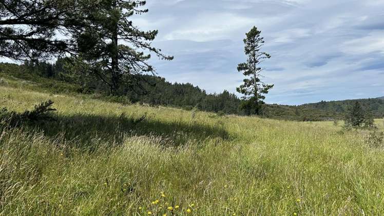 1419 Collingwood-Bainham Main Road Collingwood_5