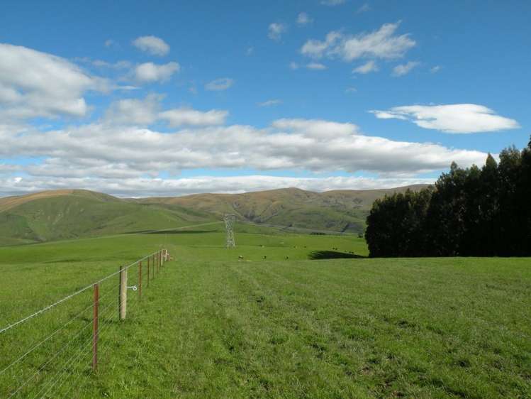 902 Moa Flat Road Ettrick_8