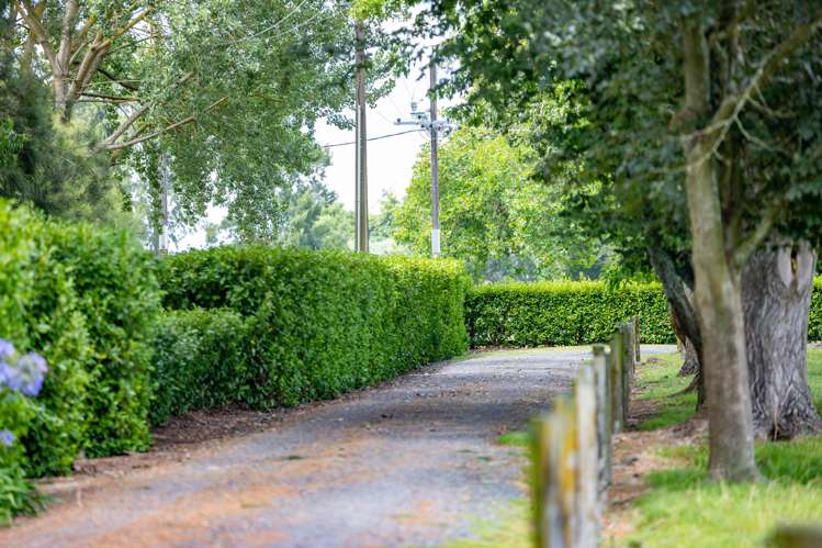 737 Tauwhare Road Tauwhare_11