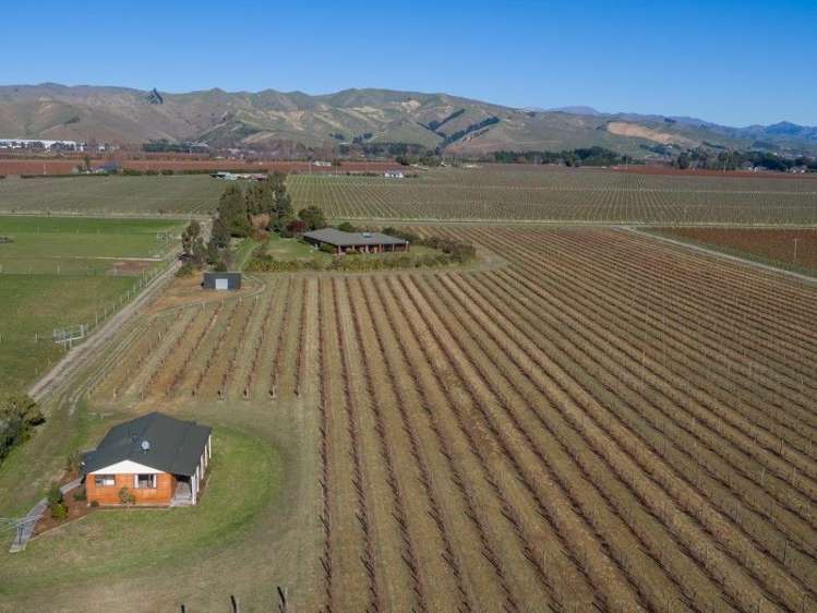 295 Swamp Road Dillons Point_3