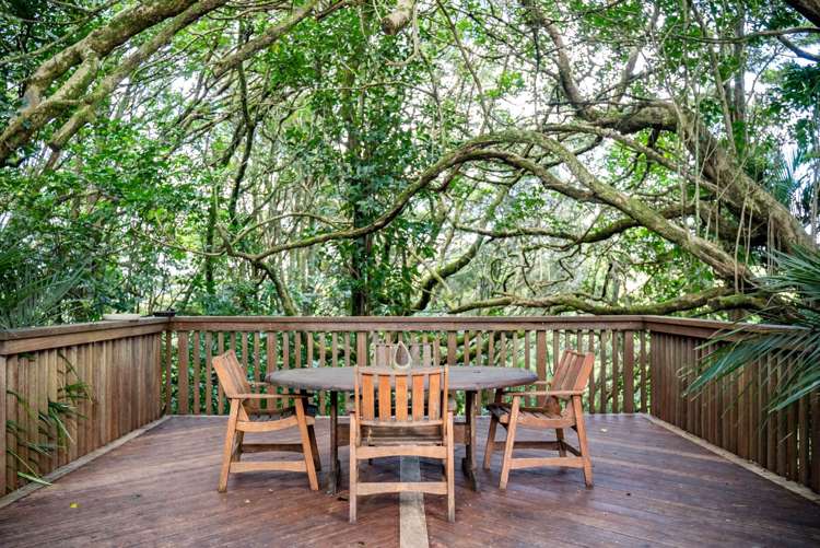 197 Totara Park Lane Glenbervie_9