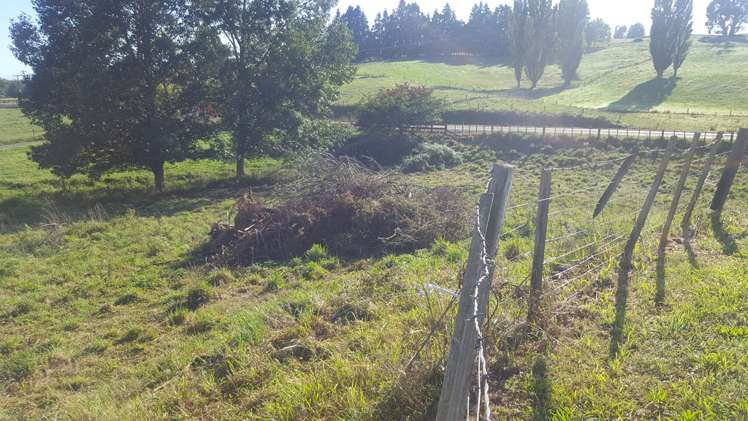 358 Otorohanga Road Tokanui_16