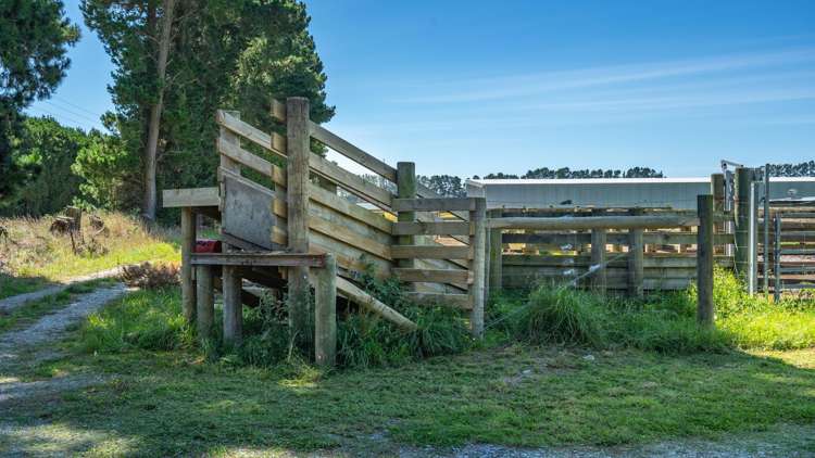 300 Courtenay Road Charing Cross_4