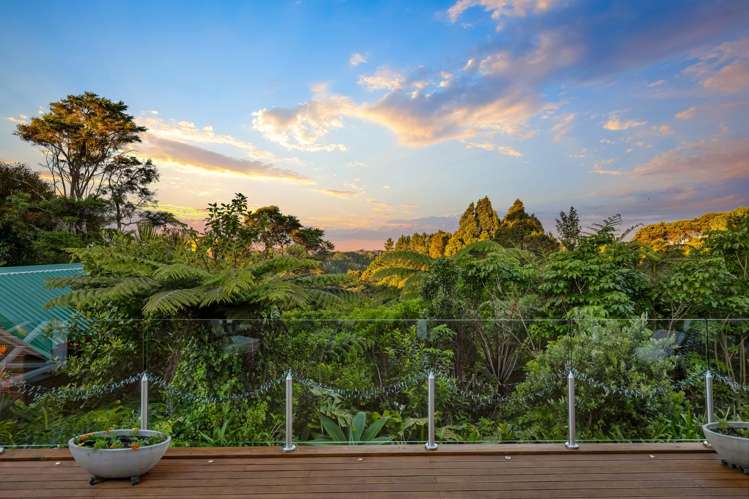 33 Puketaha Road Swanson_3