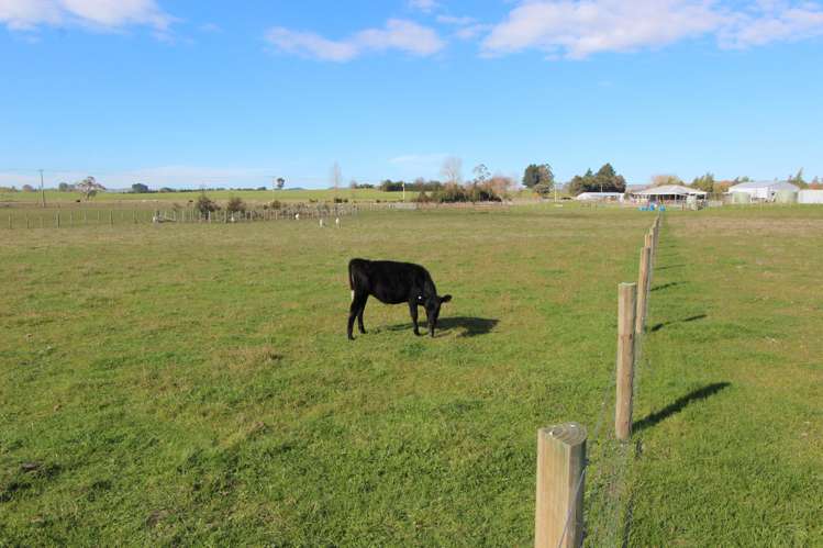 94 Farm Road Waipukurau_20