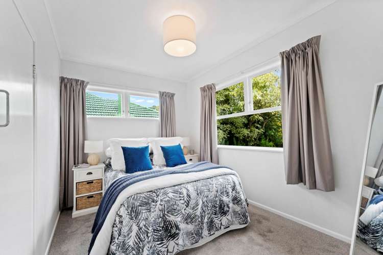 56 Taupo Street Green Bay_9