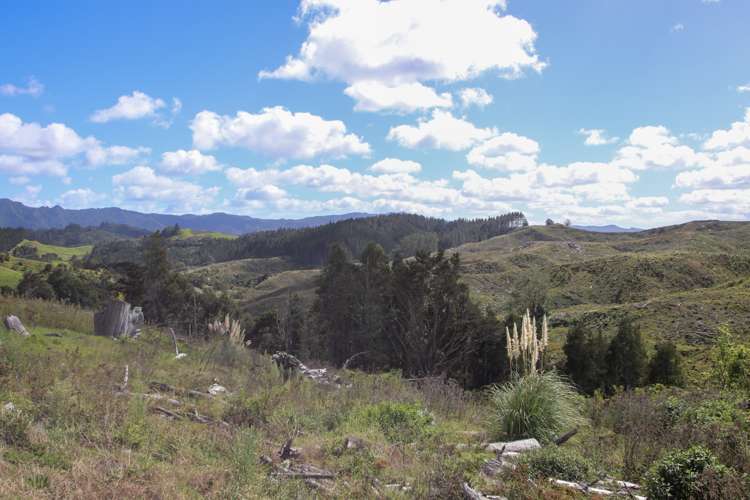 Broadwood Road Broadwood_6