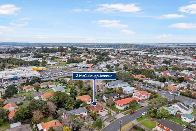 3 Mccullough Avenue Mount Roskill_1