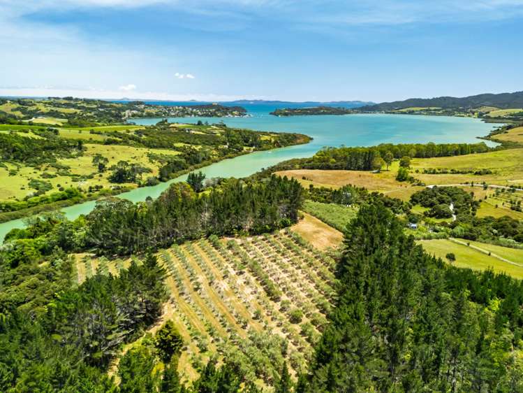 2884A State Highway 10 Mangonui_34