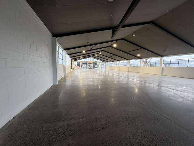 107 Montreal Street Sydenham_2