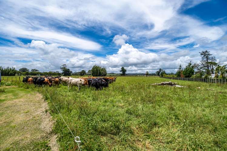 120 Kumi Road Awanui_17