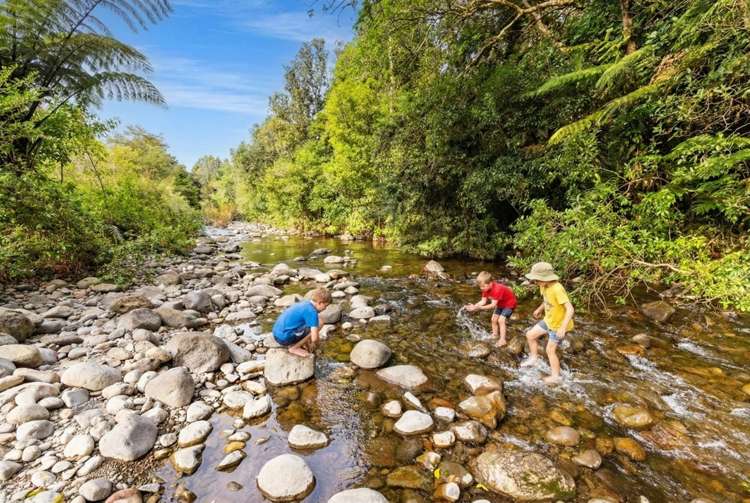 236 Hot Springs Road Katikati_0