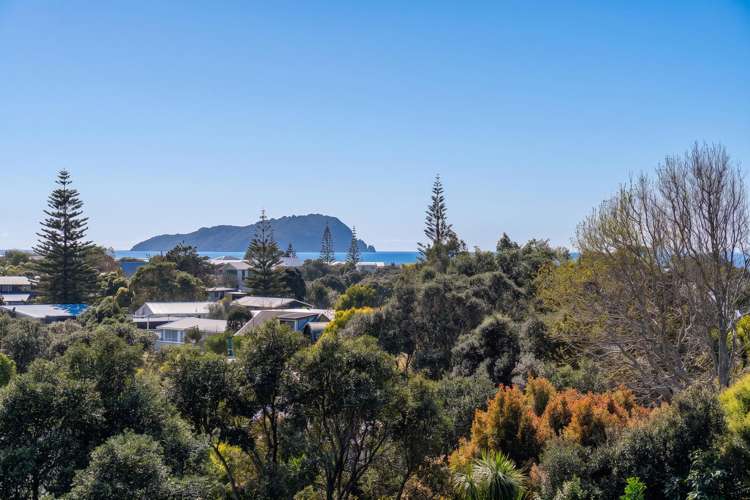 30 Mount Ave Pauanui_20