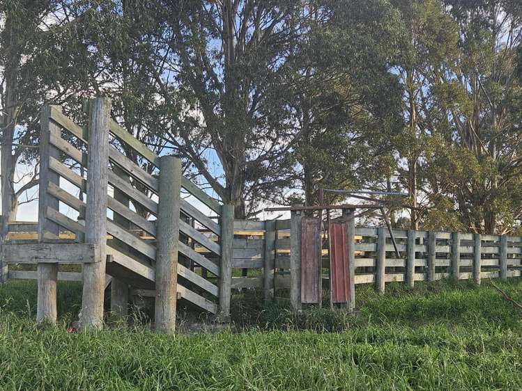 Dunrobin Road Fuchsia Creek_3