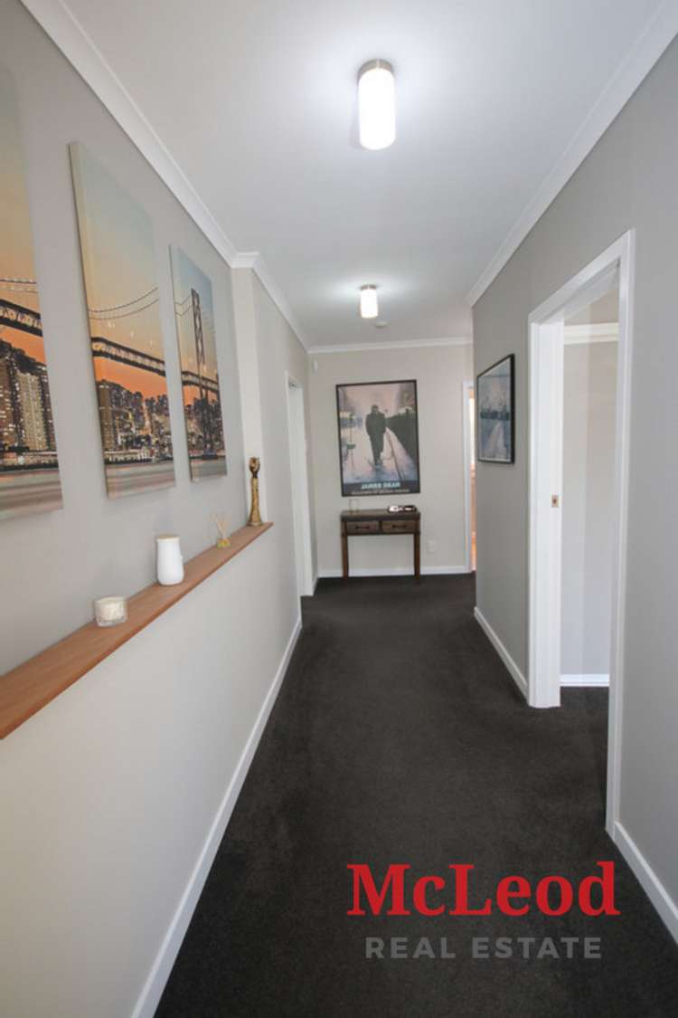 5 Carters Terrace Tinwald_12