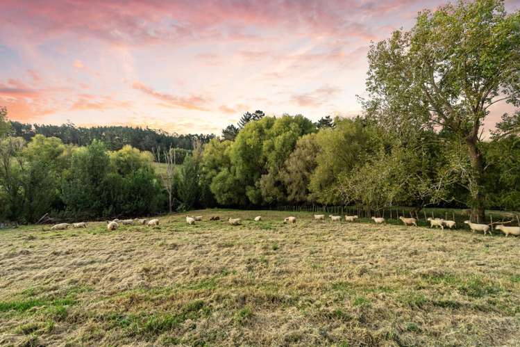 7F Willow Lane Stillwater_25