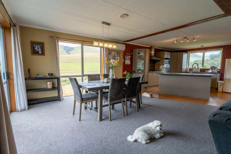 1320 Hunt Road Catlins Surrounds_23